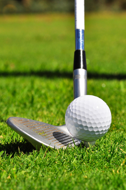 Golf ball and driver - Photo, Image