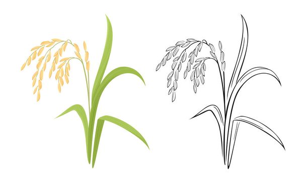 Stachel der Reis-Cartoon-Illustration und schwarz-weißen Umriss. Vektor-Reisohr. - Vektor, Bild