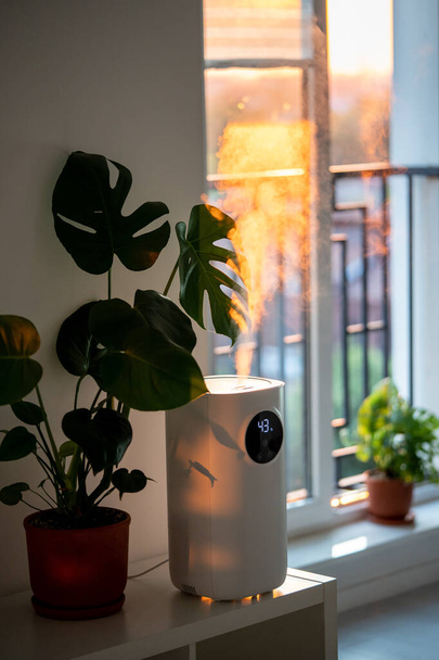 自宅で現代の加湿器は、室内のモンステラハウスプラントに囲まれた乾燥空気を湿らせます。加湿、植物ケア、快適な生活環境の概念。ディフューザー保湿剤付きアパート - 写真・画像