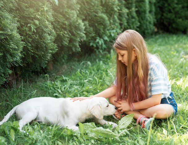 庭でゴールデンレトリーバーの子犬と遊んでいる小さな女の子. 自宅にいる友人たち. - 写真・画像