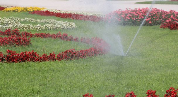 amplo jardim florido com sistema de irrigação automático em operação durante o verão - Foto, Imagem