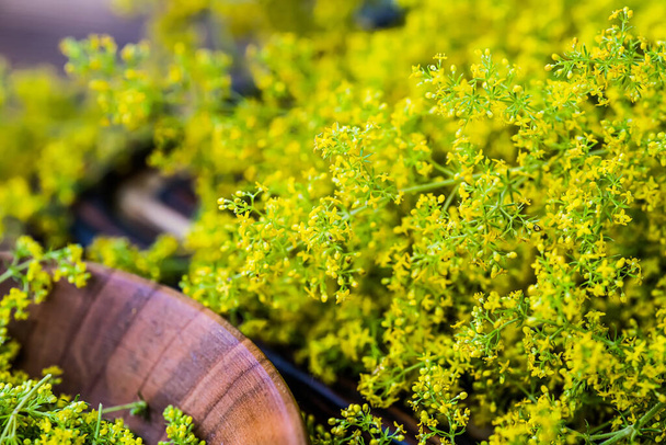 Зверобой. Гиперикум растения желтый цветок, используемый в альтернативной медицине в деревянной пластины на винтажном столе. Лекарственные травы Hypericum для гомеопатических лекарств. Вид сверху - Фото, изображение