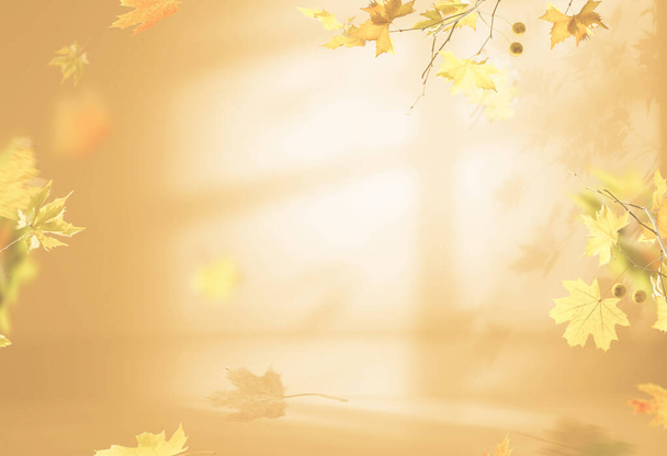 Herbstszene in Cremetönen. Herbst Hintergrund mit Schatten von Ahornbaumblättern an einer Wand. - Foto, Bild