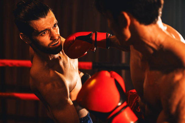 Азійський і кавказький муай-тай боксер розкриває свою владу в запеклих поєдинках з боксом. Тайський боксер з сильним м'язовим тілом обмінюється ударом і вдаряє неослабною бойовою силою. Імпест - Фото, зображення