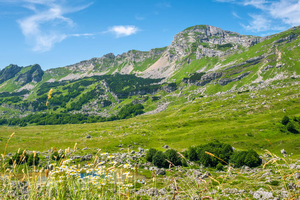Paisaje natural con pequeño lago y cordillera en el Parque Nacional Durmitor. Montenegro - Foto, imagen