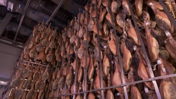 イベリアのハムの産業足にぶら下がっているジャモンセラーノの豚の足工場. イベリアンハム精製プロセス - 映像、動画