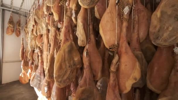 イベリアのハムの産業足にぶら下がっているジャモンセラーノの豚の足工場. イベリアンハム精製プロセス - 映像、動画