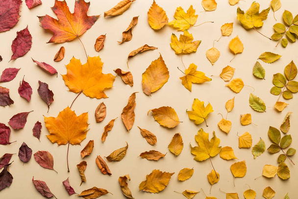 Herbstliche Komposition. Gefälle aus getrockneten Blättern auf dem Tisch. Flache Lage, Draufsicht. - Foto, Bild