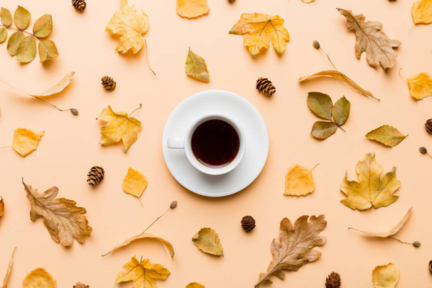 Плоска композиція з барвистою осінньою чашкою кави та листям на кольоровому фоні. вид зверху
. - Фото, зображення