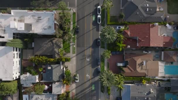 Top down panning footage of buildings along street in urban borough. Road lined with tropical palm trees. Los Angeles, California, USA - Footage, Video