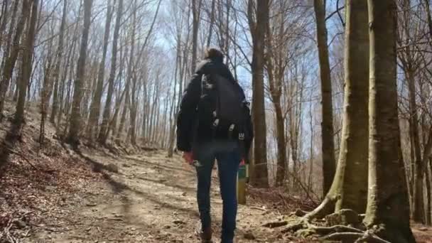 Жінка, піші прогулянки і рюкзак на горі для свободи природи, сільські пішохідні пригоди і стійкі подорожі. Жіночий мандрівник у гірській прогулянці на відкритому повітрі та оздоровчий відпочинок - Кадри, відео