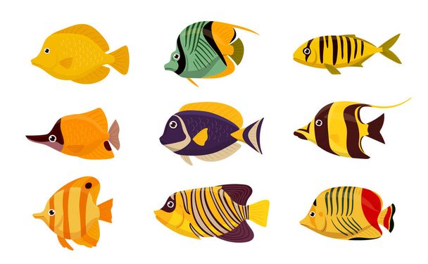 Peces tropicales de dibujos animados. Acuario o peces salvajes bajo el agua. Oceánica fauna marina colorida plana vector ilustración conjunto. Colección de peces de agua salada - Vector, Imagen