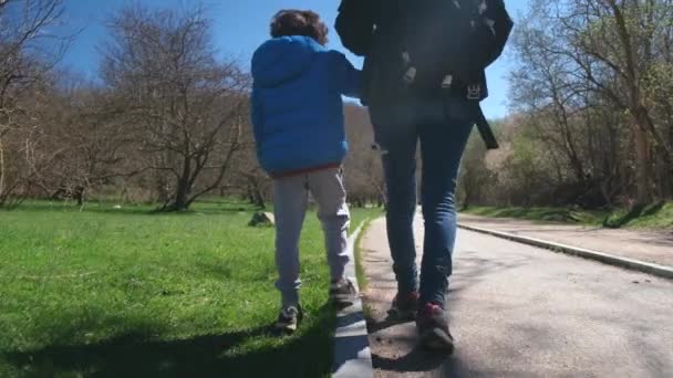 Madre con hijo caminando por el parque en un día soleado - Metraje, vídeo