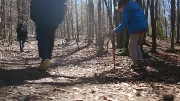 Aile güneşli bir günde ormanda yürürken, doğa ile temas, sağlık... - Video, Çekim