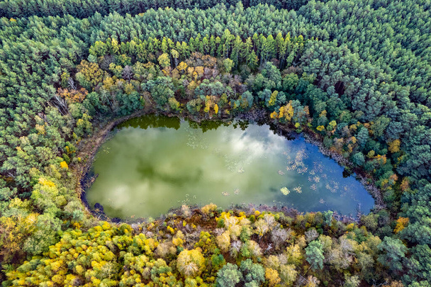 Εναέρια λήψη της όμορφης λίμνης που περιβάλλεται από δάσος σε μια ήρεμη ημέρα του φθινοπώρου. Γερμανία. - Φωτογραφία, εικόνα