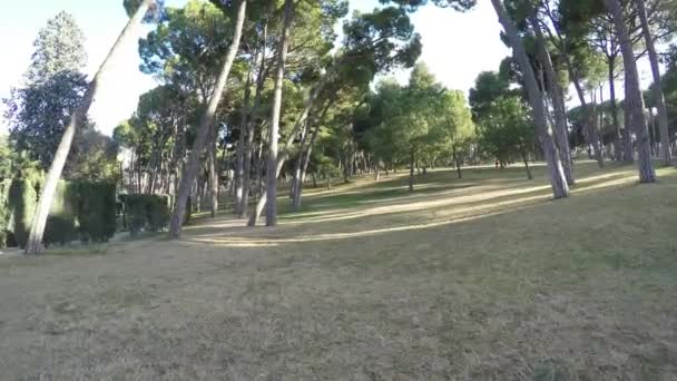 Movimiento a través del parque en un día soleado los árboles son muy bajos a la hierba amarillenta
 - Metraje, vídeo