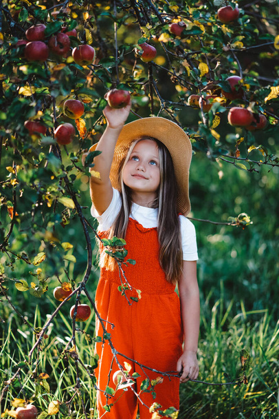 Een meisje met een hoed plukt een appel in de tuin - Foto, afbeelding