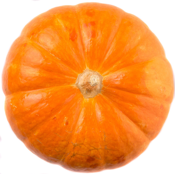 Pumpkin Vegetable - Photo, Image