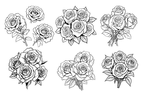 Ramos de rosas bosquejo dibujado a mano Flores ilustración - Vector, Imagen