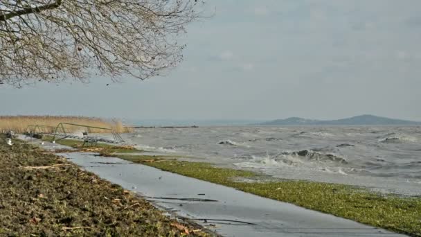 Tormenta de viento en el lago Balaton, Hungría
 - Metraje, vídeo