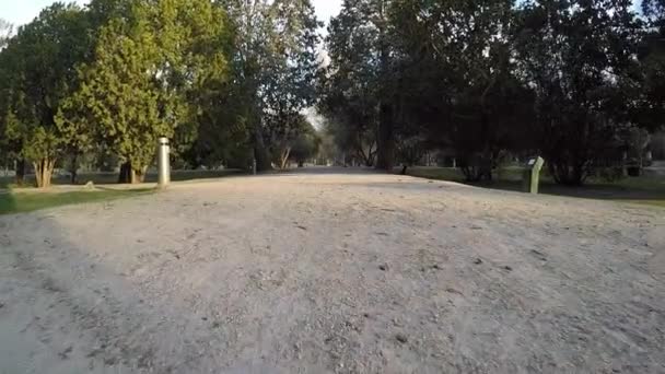 Eenzame lopen op het grind pad in een park langs de boom - Video