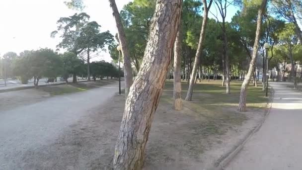 Κίνηση κατά μήκος της διαδρομής χαλίκι στο πάρκο σε μια ηλιόλουστη ημέρα με ηλιαχτίδες - Πλάνα, βίντεο