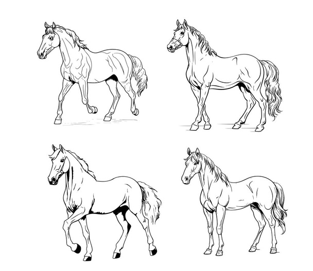 馬セット手描きのスケッチベクターファーム動物 - ベクター画像