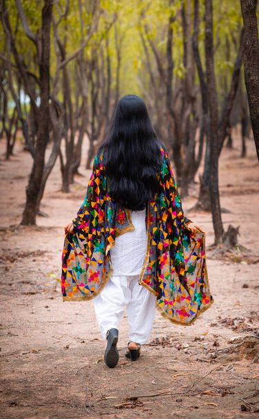 Μια ινδιάνα με πλάτη να περπατάει μόνη της στο δάσος. - Φωτογραφία, εικόνα