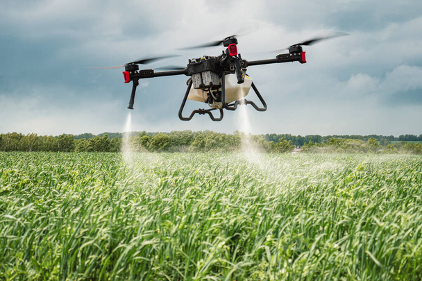 Modern technologies in agriculture. An industrial drone flies over a green field and sprays useful pesticides to increase productivity and destroys harmful insects. increase productivity - Photo, Image
