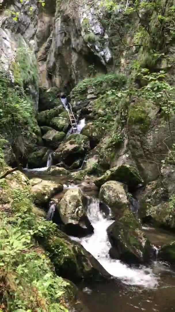 Vízesés Cerna völgy, Caras Severin megyében, Cerna Sat közelében. Függőleges videó. - Felvétel, videó