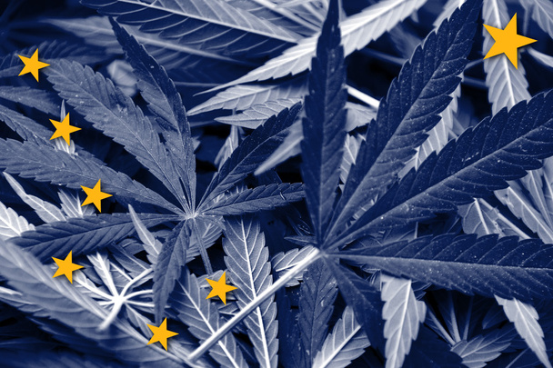 Alaska State Flag on cannabis background. Drug policy. Legalization of marijuana - Fotoğraf, Görsel