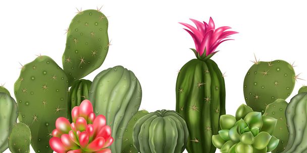 Realista composición sin costura de cactus de patrón horizontal con encimeras de plantas decorativas de florecimiento aislado en blanco ilustración vector de fondo - Vector, Imagen