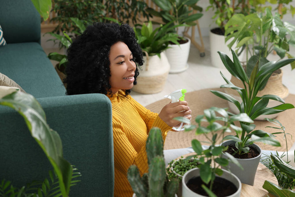 Happy woman spraying beautiful potted houseplant with water at home - Fotó, kép