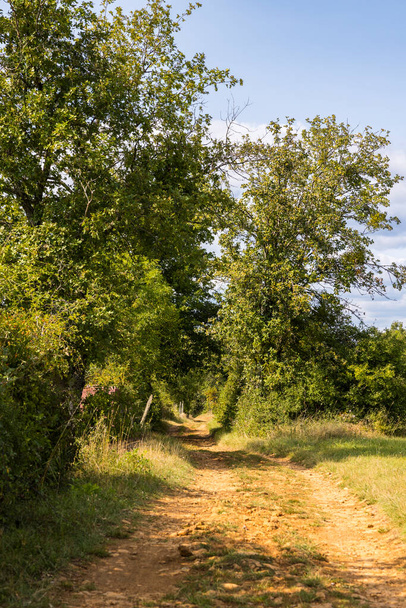 Beaujolais 'deki ortaçağ köyü Oingt yakınlarındaki altın taşlar diyarında yürüyüş yolu. - Fotoğraf, Görsel