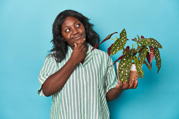 Curvy κηπουρός κρατώντας φυτό στο στούντιο κοιτάζοντας πλάγια με αμφίβολη και σκεπτικιστική έκφραση. - Φωτογραφία, εικόνα