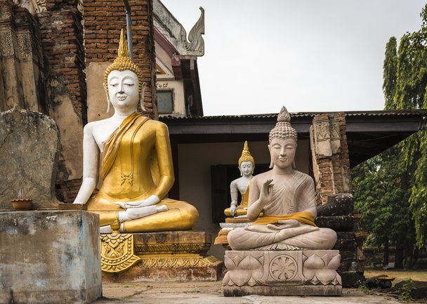 sochy Buddhy v wat phu khao thong v ayutthaya. Thajsko. - Fotografie, Obrázek