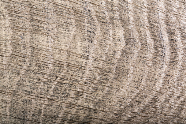 Primer plano de la composición de madera gris oscura (roble pantano)
. - Foto, Imagen