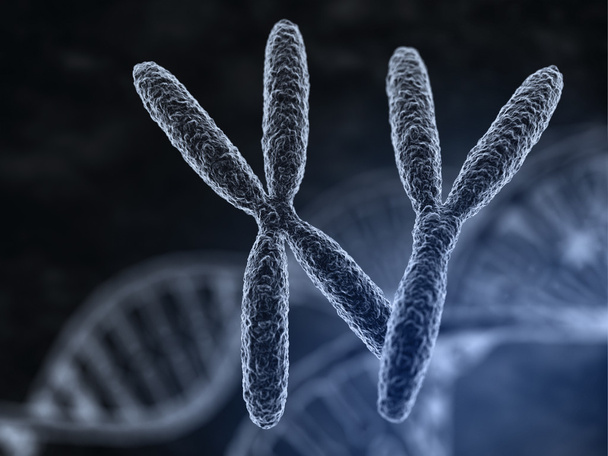 Man en vrouw chromosomen  - Foto, afbeelding