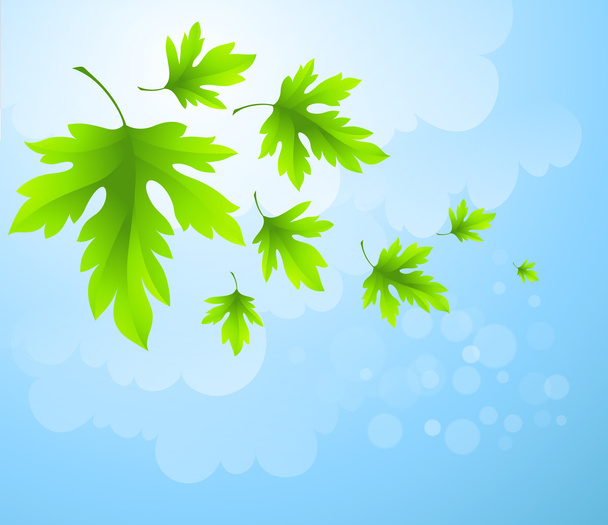 Spring fresh green leaves. Vector illustration - Vector, Image