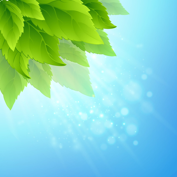 Jarní čerstvé zelené listy. Vektorové ilustrace - Vektor, obrázek
