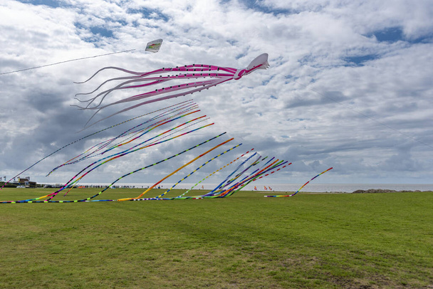 Kites at so-called Drachenwiese in Norddeich. State of Lower Saxony in Germany - Photo, Image