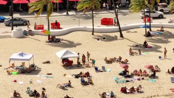 Вузький вид з повітря людей на пляжі Форт-Лодердейл День праці 2023 - Кадри, відео