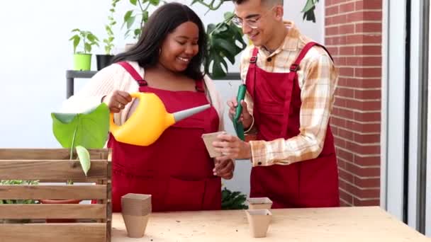 Mladý multiraciální pár v zástěrách s úsměvem při zahradničení v rostlinné školce - Záběry, video