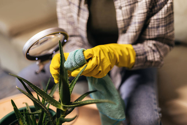 Close-up of person taking care of the plants. Using magnifying glass - Photo, Image