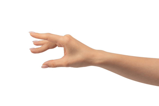 Рука женщины изолирована на белом фоне
.  - Фото, изображение