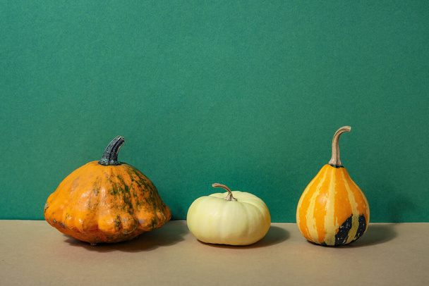 Different fresh pumpkins on colorful background - Photo, Image