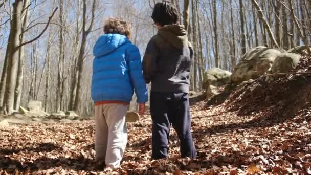 perhe kävelee metsässä aurinkoisena päivänä, kosketus luonnon hyvinvointiin terveys - Materiaali, video