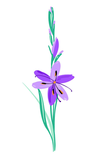 Bellissimo gladiolo di colore lilla come composizione floreale. Vettore semplice colore brillante gruppo botanico per la decorazione. Elemento floreale - Vettoriali, immagini