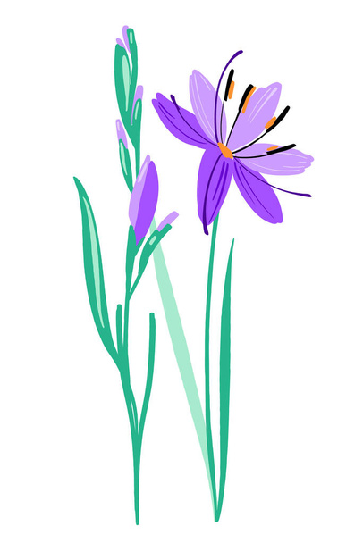 Prachtige lila kleur gladiolen als bloem compositie. Vector eenvoudige heldere kleur botanische groep voor decoratie. Bloemenelement - Vector, afbeelding
