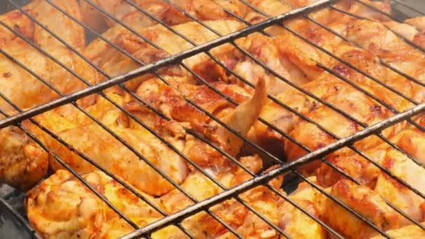 BBQ picknick tijd Geroosterde kippenpoten en vleugels op grill. Grillen vlees op rooster buiten smakelijke barbecue kip steak met rook vlammen sappig vlees in de achtertuin in de zomer - Video